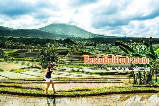 Restu Bali Tour