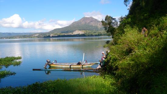 Bali Jungle & Sunrise Trekking