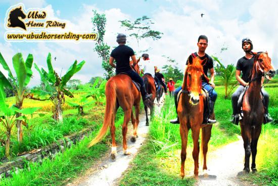 Ubud Horse Riding
