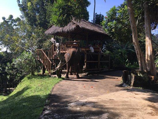 Bali Luwih Tour