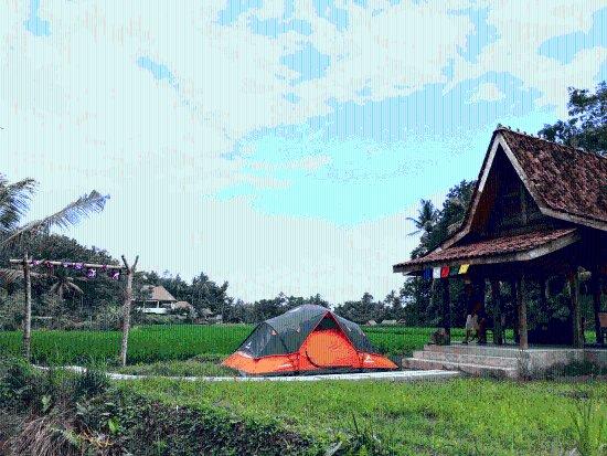 Bindu Village Tours & Cooking Class