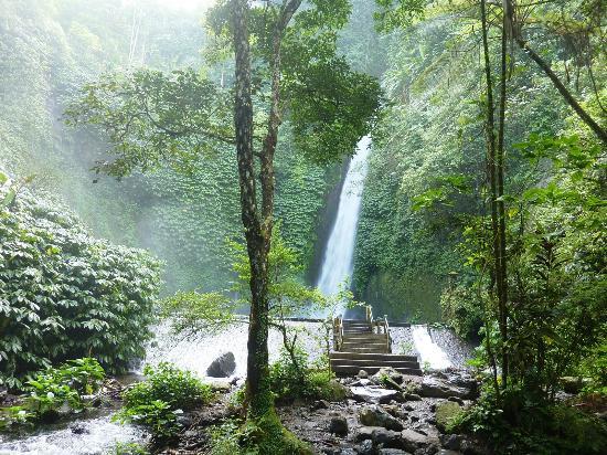 Bali Holiday Trip
