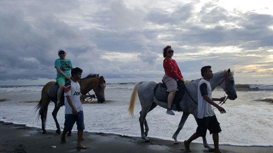 Bali Nature Land Tour - Private Day Tours