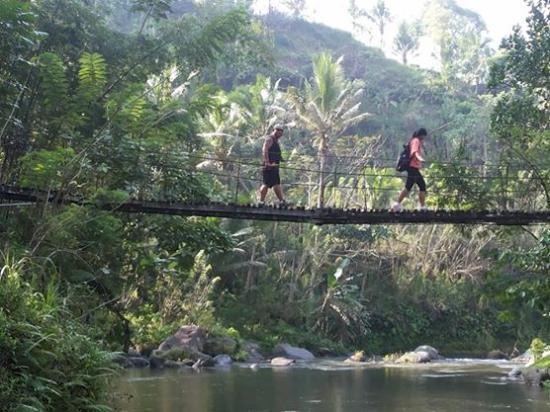 Bali Green Planet