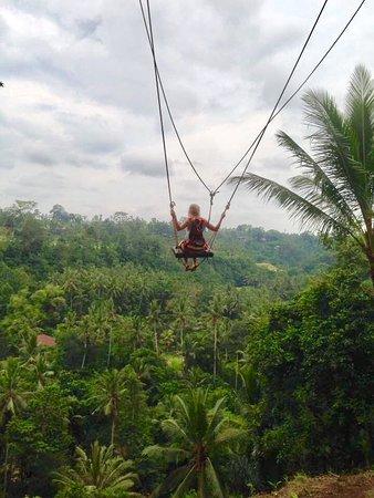 Wheel Bali