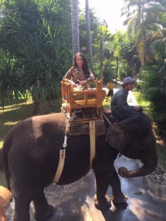 Bali Virgin Tours