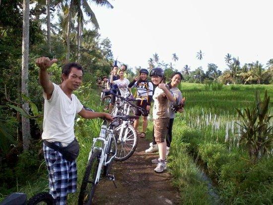 Sewa Sepeda Ubud