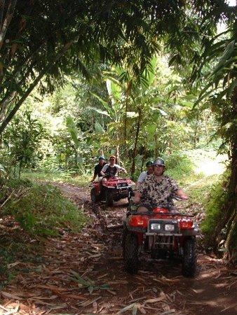 Nira Bali Adventure