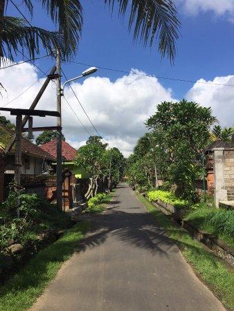 Magical Bali Tours
