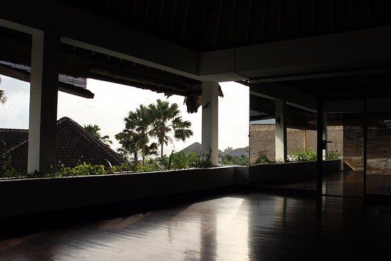 Ecosfera Yoga