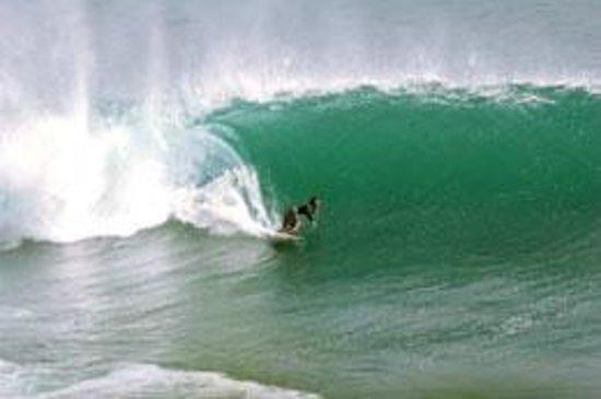 Bali Surf Advisor
