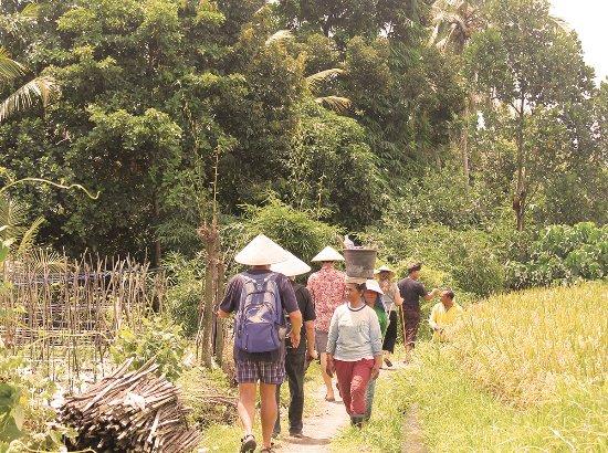 Temuku Aya - Bali Farming Life
