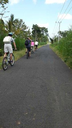 Bali Hideaway Bike