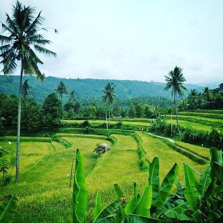 Munduk Taxi