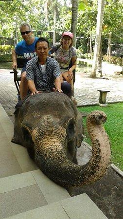 Ketut Sudarta Bali Driver
