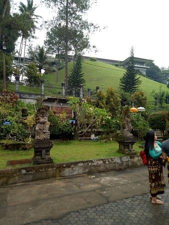 Canggu Traveller