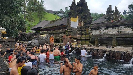 Heartland Bali Tours