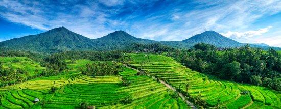 Bali Truly Paradise