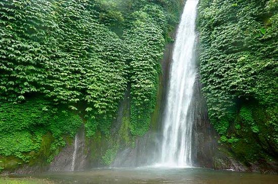 Bali Melali Tour