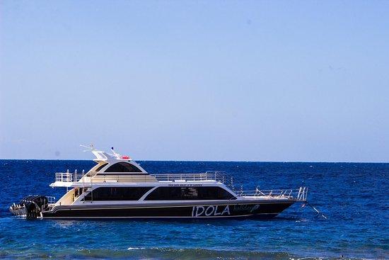 IDOLA express
