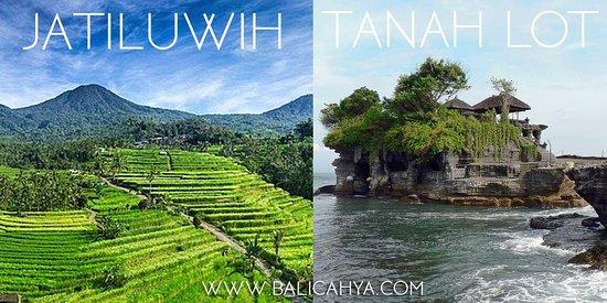 Bali Cahya Tour