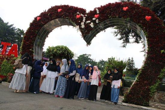 Teletubies Hill