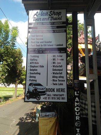 Alea Tour and Travel