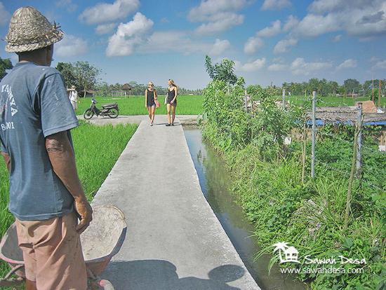 Sawah Desa - Day Tours