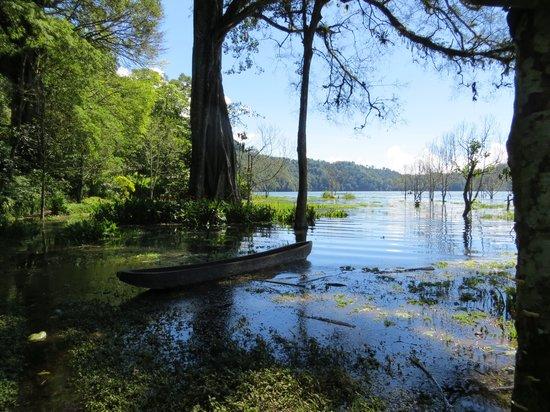 Terrasse du Lac Tamblingan - Day Tours