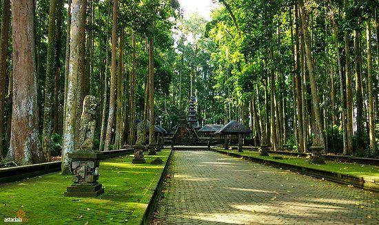 Forêt des singes de Sangeh