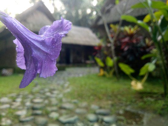Sangeh Traditional Village